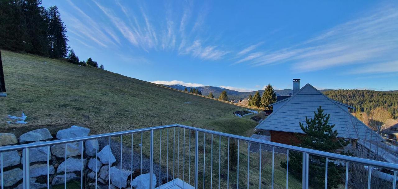 Adlernest Apartman Feldberg  Kültér fotó